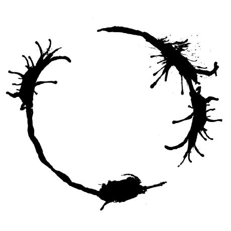 Sixth Life Github - Ultra HD Light Pattern - 4K