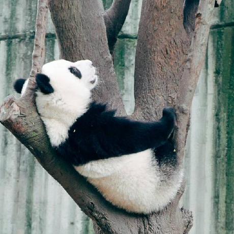 Ananthakrishnan45 Anantha Krishnan O S Github - Space Art Collection - HD Quality