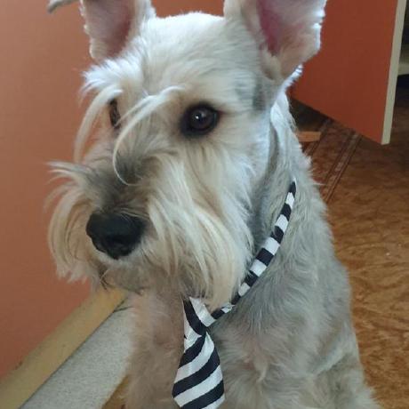 Roxyenescu Roxana Enescu Github - Download Classic Dark Photo | HD