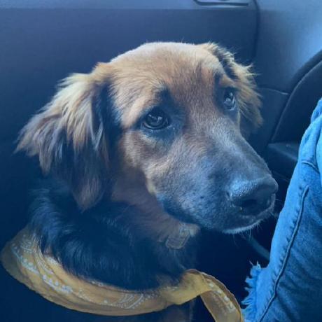 Cason6810 Cason Github - High Resolution Mountain Pictures for Desktop