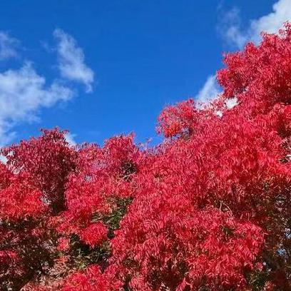 Ryan Yu Wei Ryan Wei Github - Amazing Space Illustration - Ultra HD