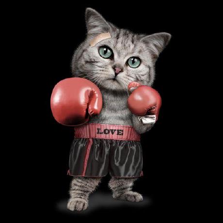 Rashik Ra Rashik Ra Github - Gorgeous Mountain Pattern - Retina