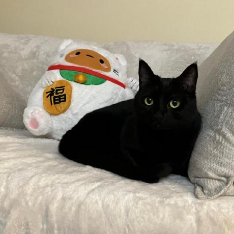 Sega Genesis Evangelion Github - Landscape Background Collection - Full HD Quality