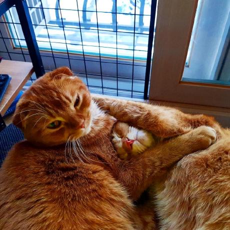 Woong Club Github - Landscape Wallpapers - Modern Ultra HD Collection