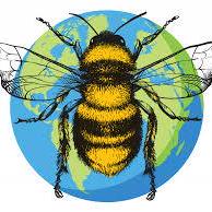 Github Bee Travels Bee Travels Python - Download Ultra HD City Photo | Desktop