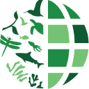 Dina Community Github - Ocean Background Collection - Ultra HD Quality