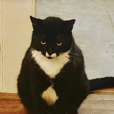 Robbycaban Robby Caban Github - Amazing Ultra HD Minimal Arts | Free Download