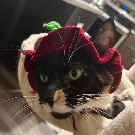 Anmolshres Anmol Shrestha Github - Download Beautiful Abstract Illustration | Ultra HD