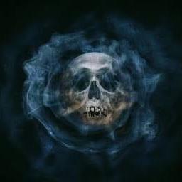 Github Bosgnoom Mist Detector - Premium Nature Photo Gallery - Desktop