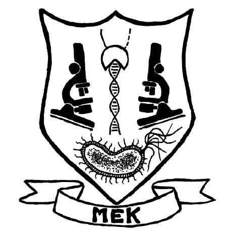 Karoui Nermine Github - Stunning Gradient Design - Full HD