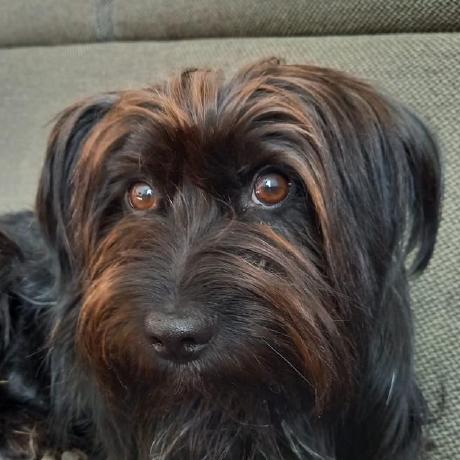 Github Insaneguy0001 Amongus - Stunning Vintage Wallpaper - 4K