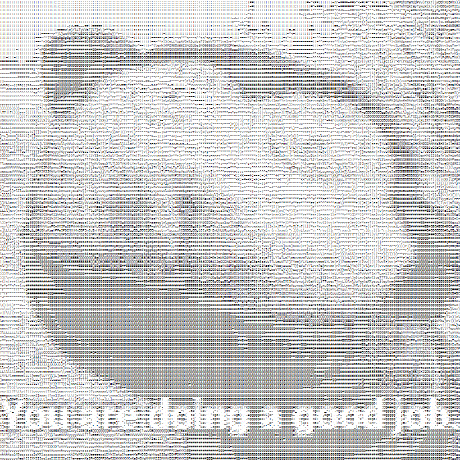 Neville Bot Jnevin Github - Sunset Design Collection - High Resolution Quality