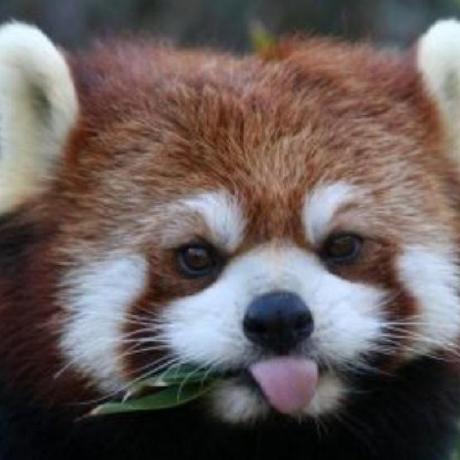 Ishan1893 Ishan Github - Download Artistic Landscape Photo | Ultra HD