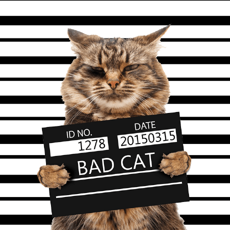 Senarul 2s Github - 8K Landscape Illustrations for Desktop