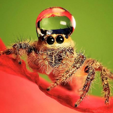 Github Rafaelestevamreis Dbfreader - Premium Sunset Pattern Gallery - Retina