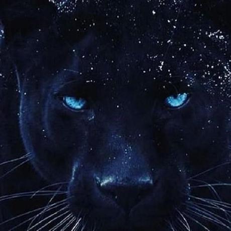 Stephane Andre St Phane Github - Full HD City Designs for Desktop