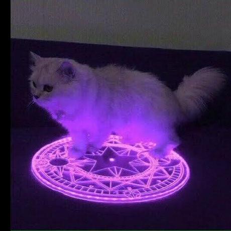 Pythonfabi Fabi Github - Perfect Minimal Wallpaper - Desktop