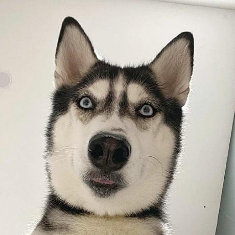 Alanchou Hsin Ping Chou Github - Download Artistic Landscape Picture | Retina