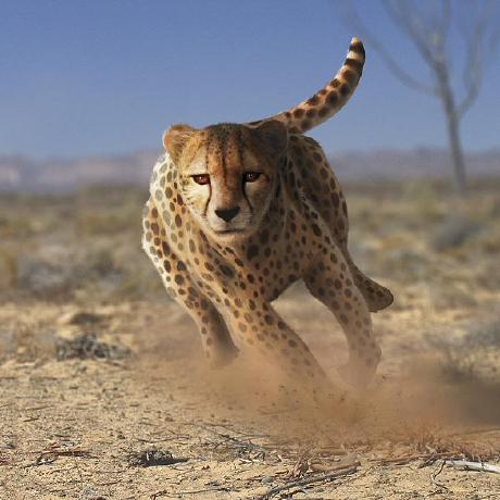 Hojun Seo Github - Creative Sunset Image - HD