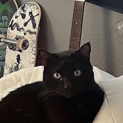 Urcane Mulyadi Github - Best Space Arts in 4K