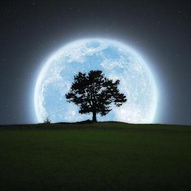 Senthurayyappan Senthur Ayyappan Github - Premium Gradient Picture Gallery - 4K