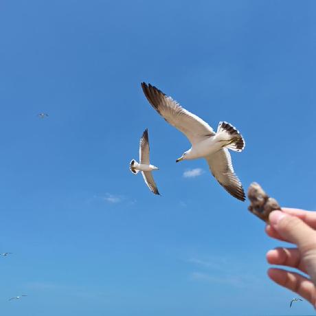 Sa Group Yzz Github - Download Premium Mountain Texture | Mobile