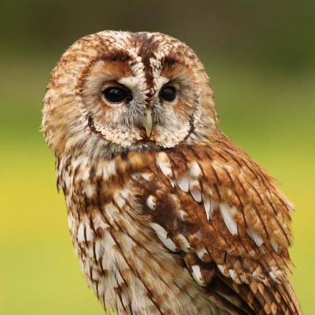 Vsteele Victoria Steele Github - Ultra HD Light Wallpaper - Mobile