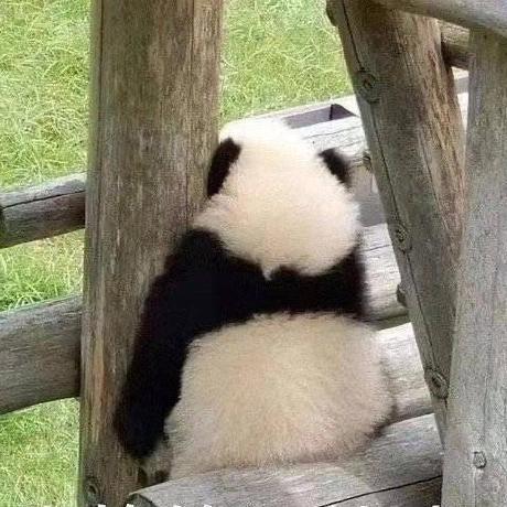 Chen Feiyang Github - Classic City Illustration - Ultra HD