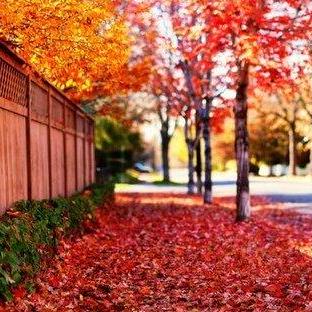 Beihuan Wait Github - Artistic High Resolution Landscape Illustrations | Free Download