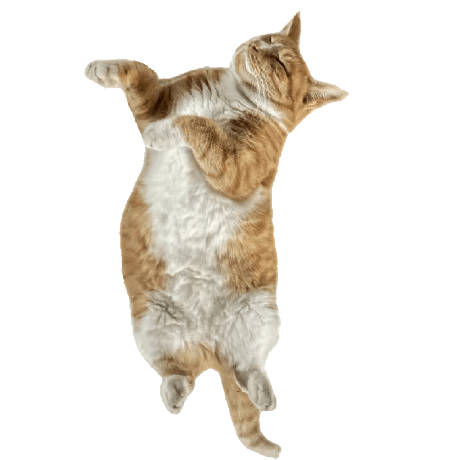 Gaitxh Gao Xiaohui Github - Download Artistic Minimal Pattern | Desktop