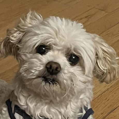 Eddie Fus Github - Retina Dark Wallpapers for Desktop