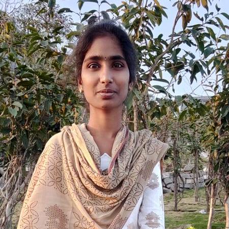 Github Rajeshwari Curiousdata Data Pre Processing Data Analysis And - Nature Illustrations - Amazing 4K Collection