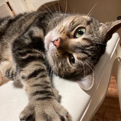 Github Yj Seol Rule Service - Download Gorgeous Minimal Art | High Resolution