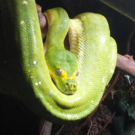 Alliancecraft Dsu Minecraft Modpack - Premium Sunset Photo Gallery - Full HD