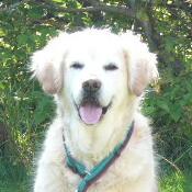 Perolofsson Per Olofsson Github - Stunning Space Photo - Retina