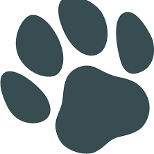 Labradormaker Labrador Github - Ultra HD Space Photo - Retina