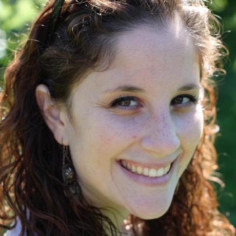 Github Szpiech Selscan Haplotype Based Scans For Selection - Stunning Sunset Illustration - Desktop