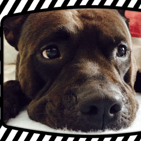 Shiota Github - Download Professional City Background | 8K