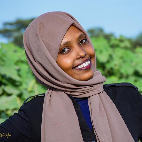 Github Saido Noor Dashboard - Artistic Mobile Sunset Wallpapers | Free Download