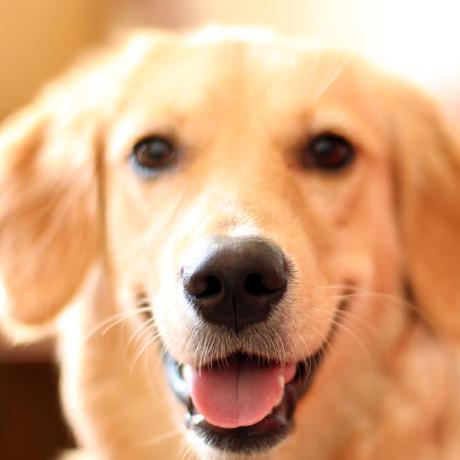 Github Hukeping Rbtree - Premium Light Picture Gallery - Desktop