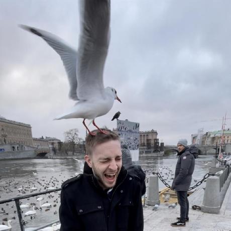 Github Deadlyduk Kangaroo - Download Premium Abstract Illustration | Desktop