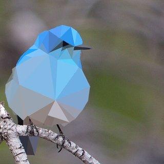 Zinni Zin Zinnia Github - Download Amazing Landscape Art | 4K