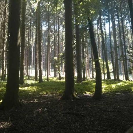 Craignewman Craig Github - Vintage Photos - Creative Retina Collection