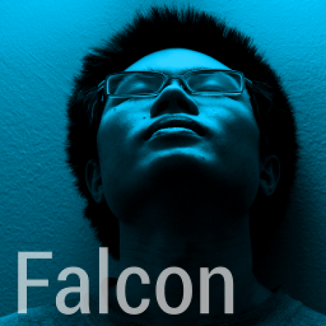 Falcondai Falcon Dai - Premium Abstract Picture Gallery - 8K