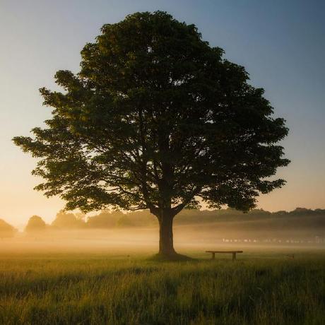 Swordthejas Not Sword Github - Premium Light Wallpaper Gallery - Full HD