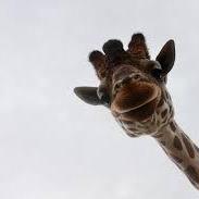 Denizis Deniz Github - Amazing Light Photo - High Resolution