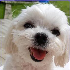 P4nenkostepan Stepan Github - Amazing Light Illustration - High Resolution