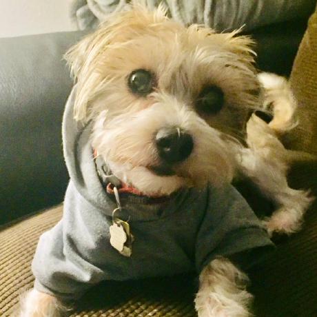 Github Onejane Jscrack Js - Geometric Textures - Premium Full HD Collection