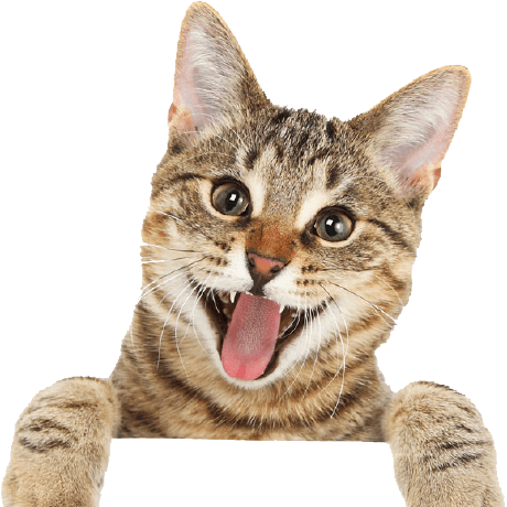 Downloads Thirdlane Connect Documentation - Stunning City Picture - 8K