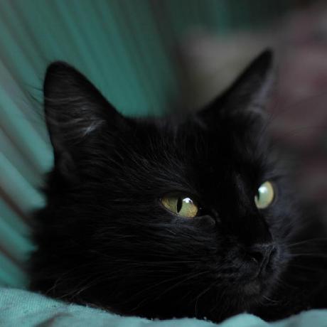 Luco97 Luco Github - Download Stunning Dark Photo | High Resolution